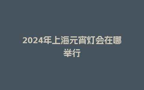 2024年上海元宵灯会在哪举行