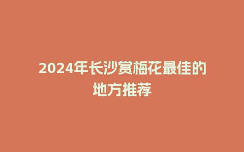 2024年长沙赏梅花最佳的地方推荐