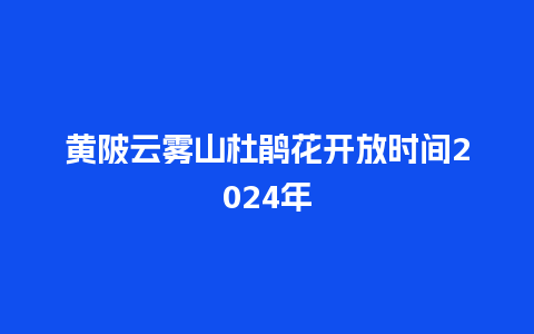 黄陂云雾山杜鹃花开放时间2024年