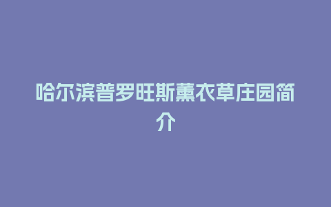 哈尔滨普罗旺斯薰衣草庄园简介