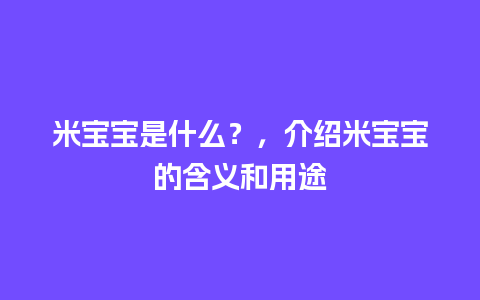 米宝宝是什么？，介绍米宝宝的含义和用途