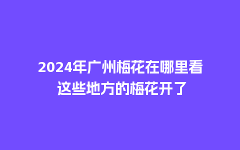 2024年广州梅花在哪里看 这些地方的梅花开了