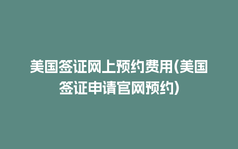 美国签证网上预约费用(美国签证申请官网预约)