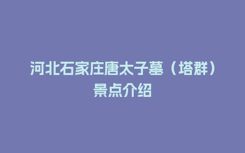 河北石家庄唐太子墓（塔群）景点介绍