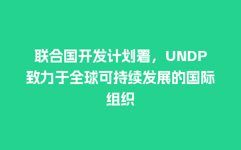 联合国开发计划署，UNDP致力于全球可持续发展的国际组织