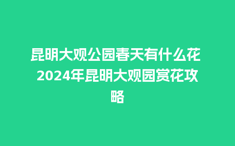 昆明大观公园春天有什么花 2024年昆明大观园赏花攻略