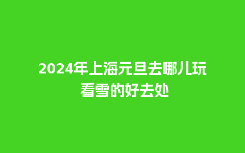 2024年上海元旦去哪儿玩 看雪的好去处