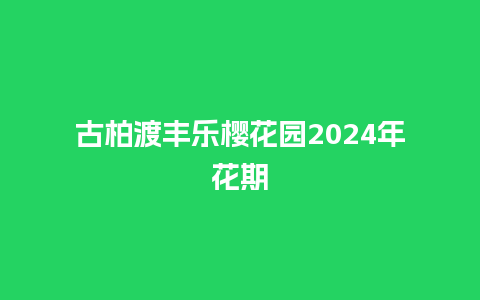 古柏渡丰乐樱花园2024年花期