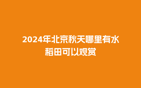 2024年北京秋天哪里有水稻田可以观赏