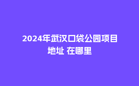 2024年武汉口袋公园项目地址 在哪里