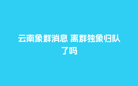 云南象群消息 离群独象归队了吗