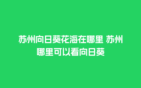 苏州向日葵花海在哪里 苏州哪里可以看向日葵