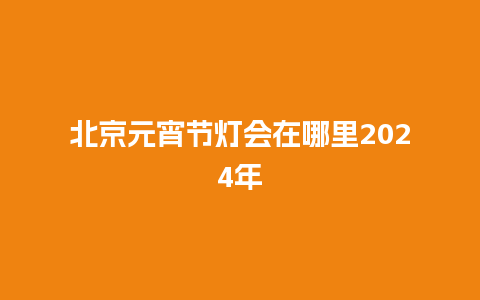 北京元宵节灯会在哪里2024年