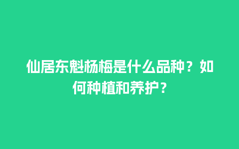 仙居东魁杨梅是什么品种？如何种植和养护？