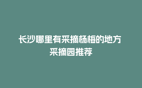 长沙哪里有采摘杨梅的地方 采摘园推荐