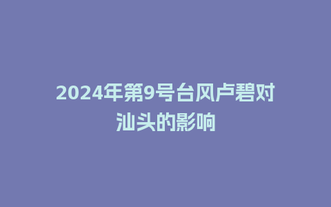 2024年第9号台风卢碧对汕头的影响