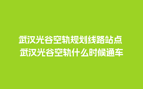 武汉光谷空轨规划线路站点 武汉光谷空轨什么时候通车