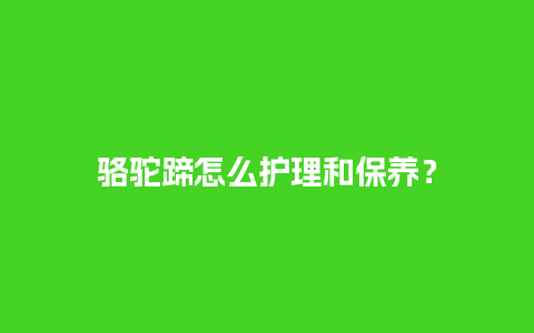 骆驼蹄怎么护理和保养？