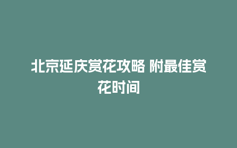 北京延庆赏花攻略 附最佳赏花时间