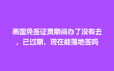 泰国免签证费期间办了没有去，已过期，现在能落地签吗