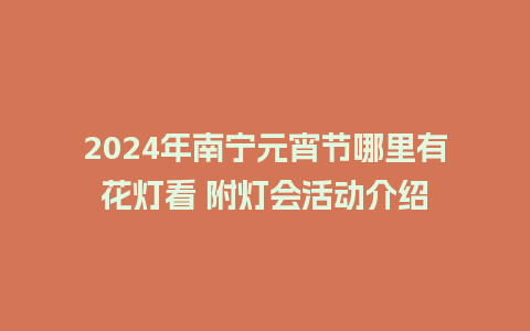 2024年南宁元宵节哪里有花灯看 附灯会活动介绍