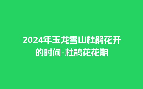 2024年玉龙雪山杜鹃花开的时间-杜鹃花花期