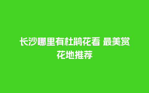 长沙哪里有杜鹃花看 最美赏花地推荐