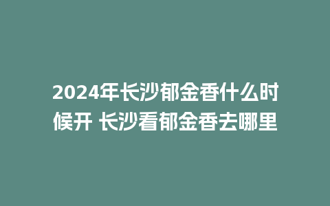 2024年长沙郁金香什么时候开 长沙看郁金香去哪里