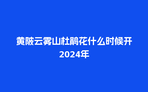 黄陂云雾山杜鹃花什么时候开2024年