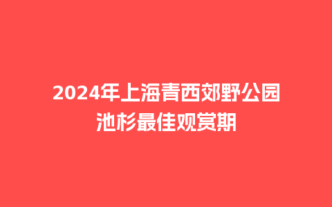 2024年上海青西郊野公园池杉最佳观赏期