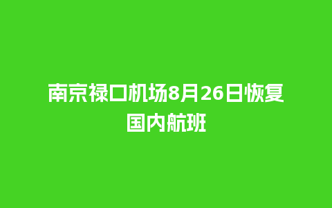 南京禄口机场8月26日恢复国内航班