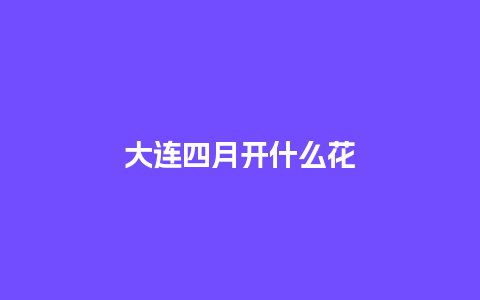 大连四月开什么花