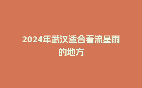 2024年武汉适合看流星雨的地方