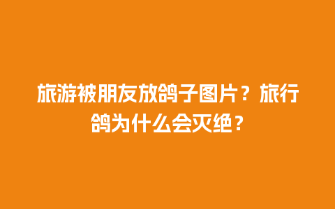 旅游被朋友放鸽子图片？旅行鸽为什么会灭绝？