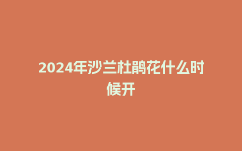 2024年沙兰杜鹃花什么时候开