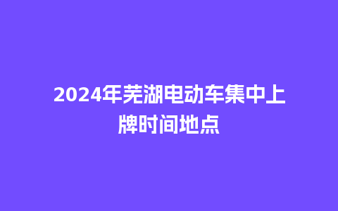 2024年芜湖电动车集中上牌时间地点