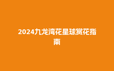 2024九龙湾花星球赏花指南