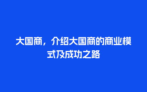 大国商，介绍大国商的商业模式及成功之路