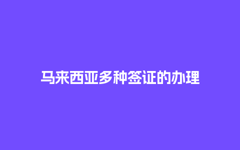 马来西亚多种签证的办理