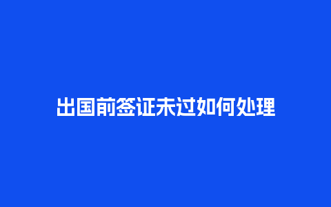 出国前签证未过如何处理