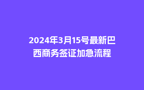 2024年3月15号最新巴西商务签证加急流程