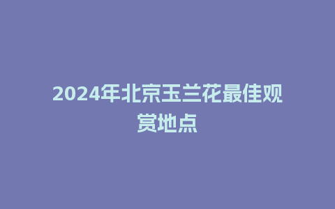 2024年北京玉兰花最佳观赏地点