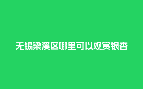 无锡梁溪区哪里可以观赏银杏