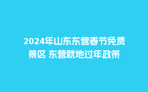 2024年山东东营春节免费景区 东营就地过年政策