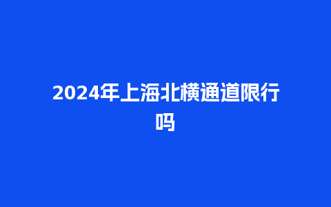 2024年上海北横通道限行吗