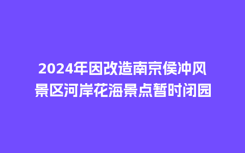 2024年因改造南京侯冲风景区河岸花海景点暂时闭园