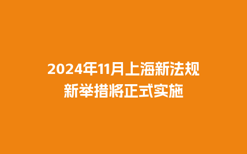 2024年11月上海新法规新举措将正式实施