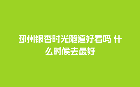 邳州银杏时光隧道好看吗 什么时候去最好