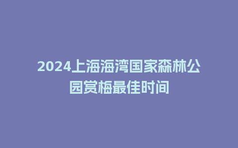 2024上海海湾国家森林公园赏梅最佳时间