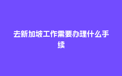 去新加坡工作需要办理什么手续